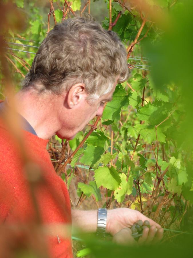 Stay At The Winemaker Ervedosa do Douro Exterior foto
